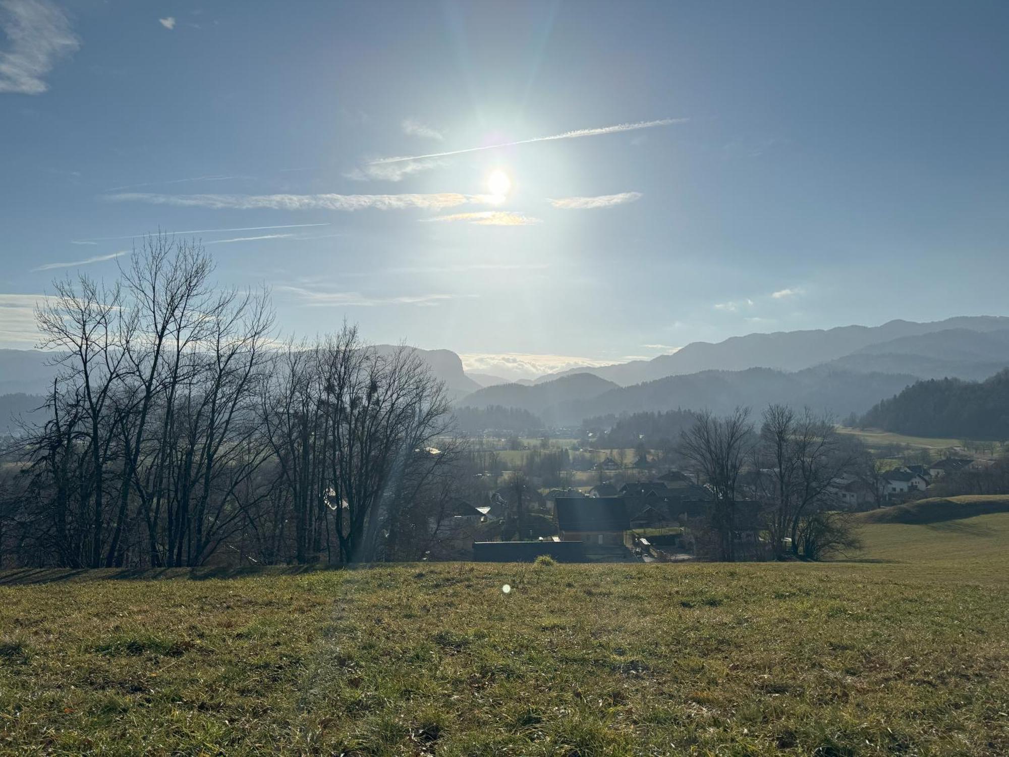 Villa Dei Sogni 布莱德 外观 照片